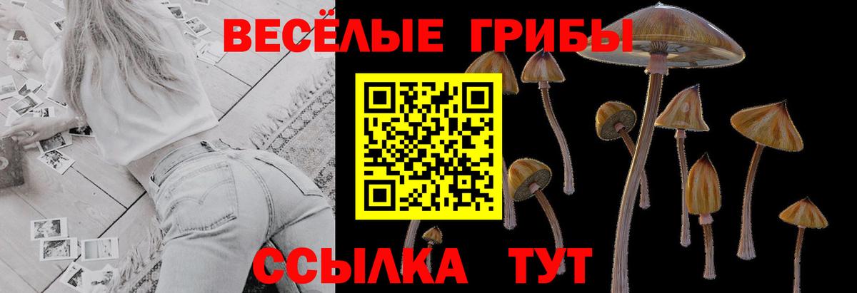 Галлюциногенные грибы мицелий Тулун